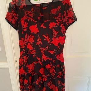 DKNY dress with illusion neckline and ruffle skirt. Worn once.